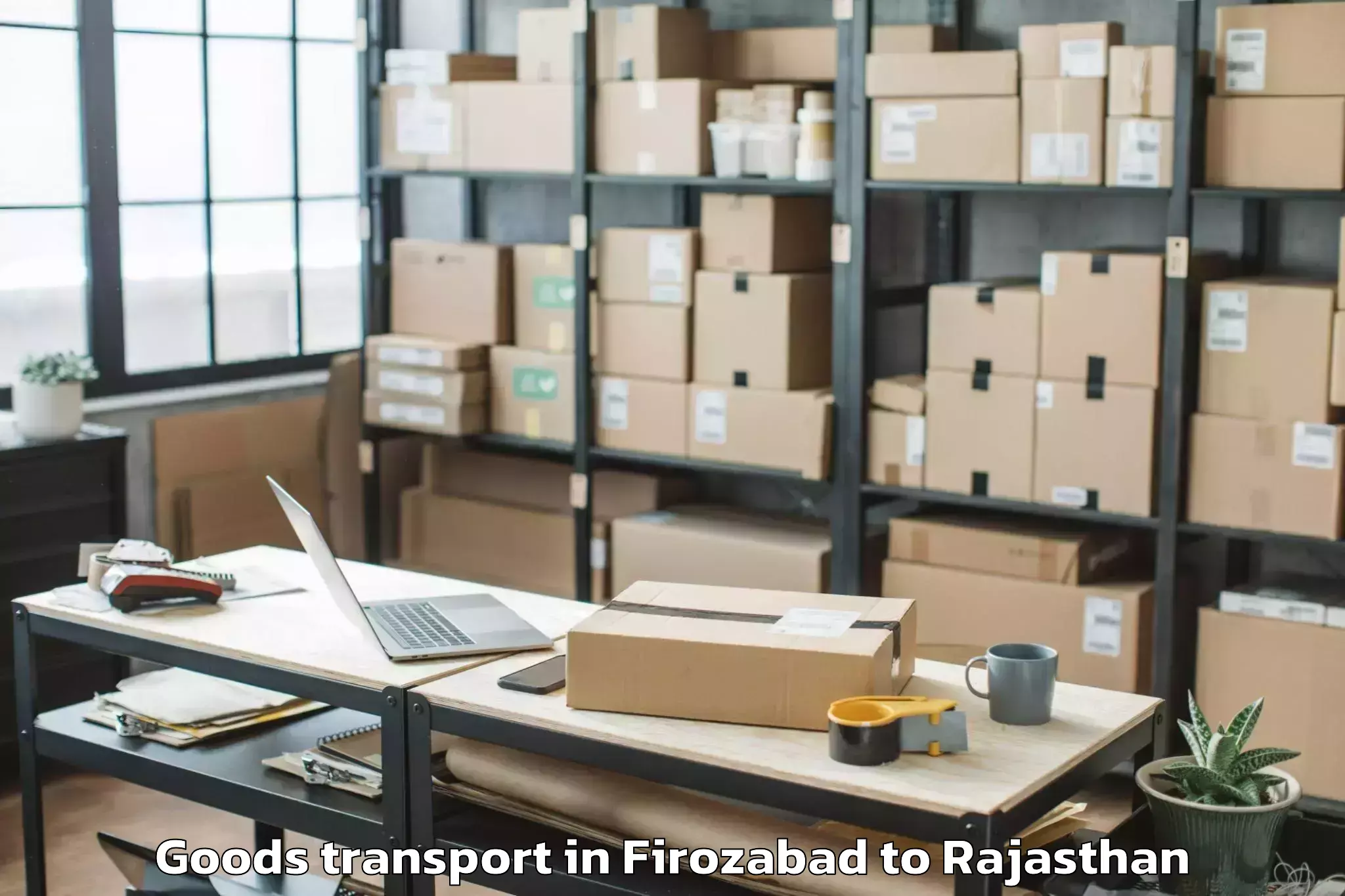 Leading Firozabad to Jhadol Goods Transport Provider